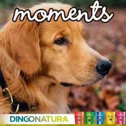 Natura Diet Super premium Hunde & kattefoder Moments hundesnack Puppy 60 g - blød træning til hvalpe