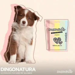 Natura Diet Super premium Hunde & kattefoder Moments hundesnack Puppy 60 g - blød træning til hvalpe