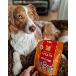 MUSH Treat Gris 55 g - naturlige hundegodbidder