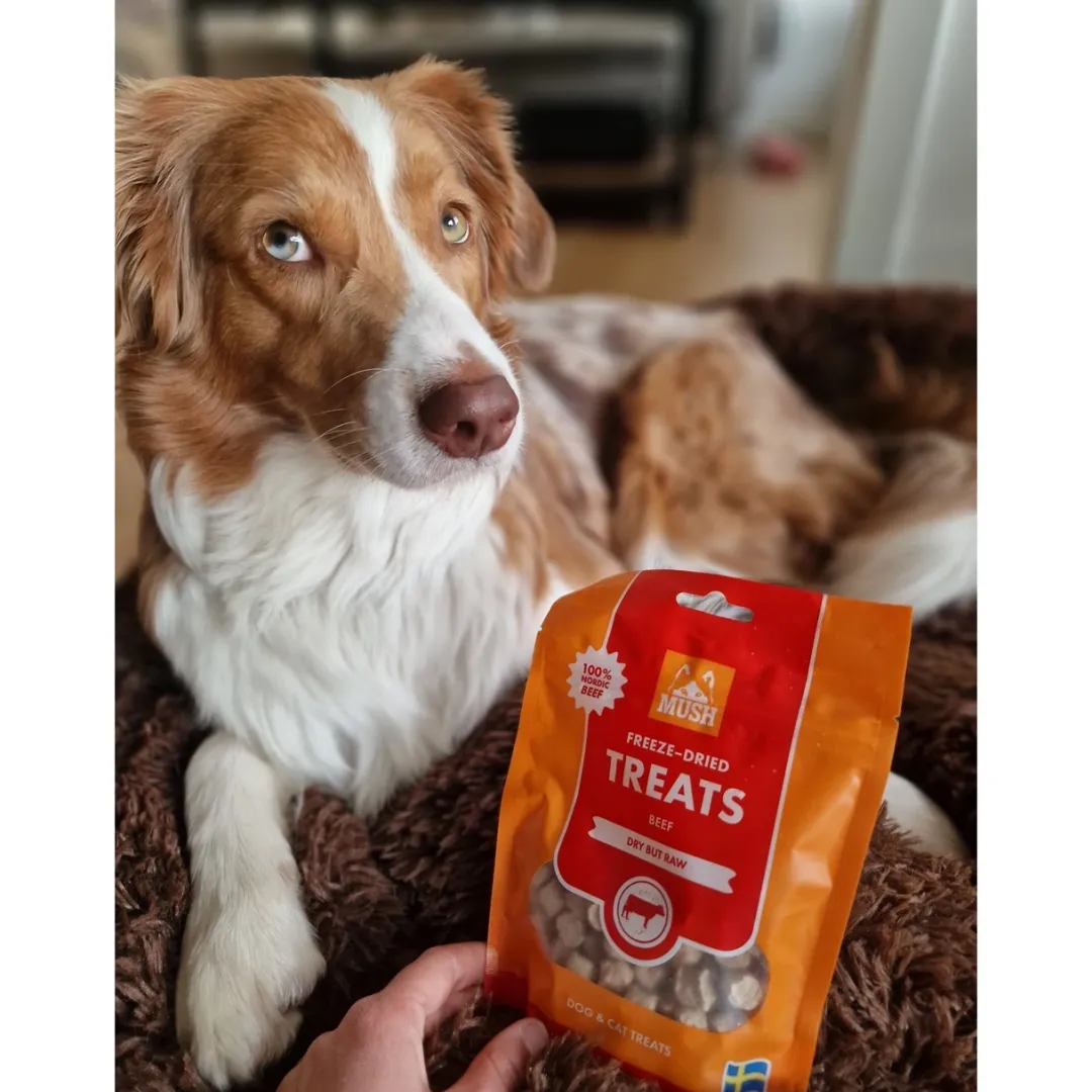 MUSH Treat Lam 55 g - naturlige frysetørrede hundesnacks
