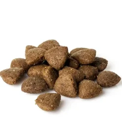 Natura Diet Super premium Hunde & kattefoder Natura Diet Fisk og Ris hundefoder 3 kg - Naturlig ernæring til hunde
