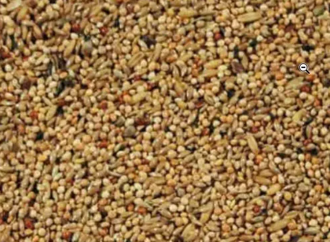 King premium foder Natural Original Undulat Avl Spec. 20 kg