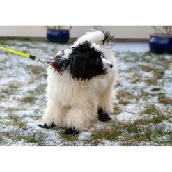 Ozami hundesokker XL sort - bløde sokker til store hundepoter