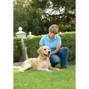Petsafe - anti gø halsbånd store hunde