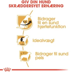 Royal Canin Hundefoder Royal Canin Cavalier King Charles Adult 1,5 kg - tørfoder til små hunde