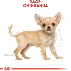Royal Canin Hundefoder Royal Canin Chihuahua Puppy 1,5 kg - hvalpefoder