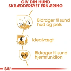 Royal Canin Hundefoder Royal Canin Cocker Spaniel Adult 12 kg - tørfoder til voksne hunde