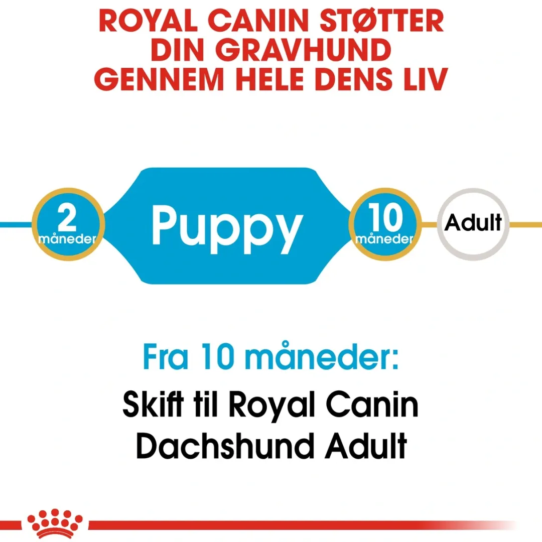 Royal Canin Hundefoder Royal Canin Dachshund Puppy 1,5 kg - tørfoder til Gravhund hvalpe