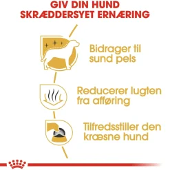 Royal Canin Hundefoder Royal Canin Maltese Adult 1,5 kg - tørfoder til maltesere