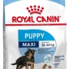 Royal Canin Hundefoder Royal Canin Maxi Puppy 15 kg - hvalpefoder til store hunde