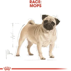 Royal Canin Hundefoder Royal Canin Pug Adult 1,5 kg - tørfoder til mops