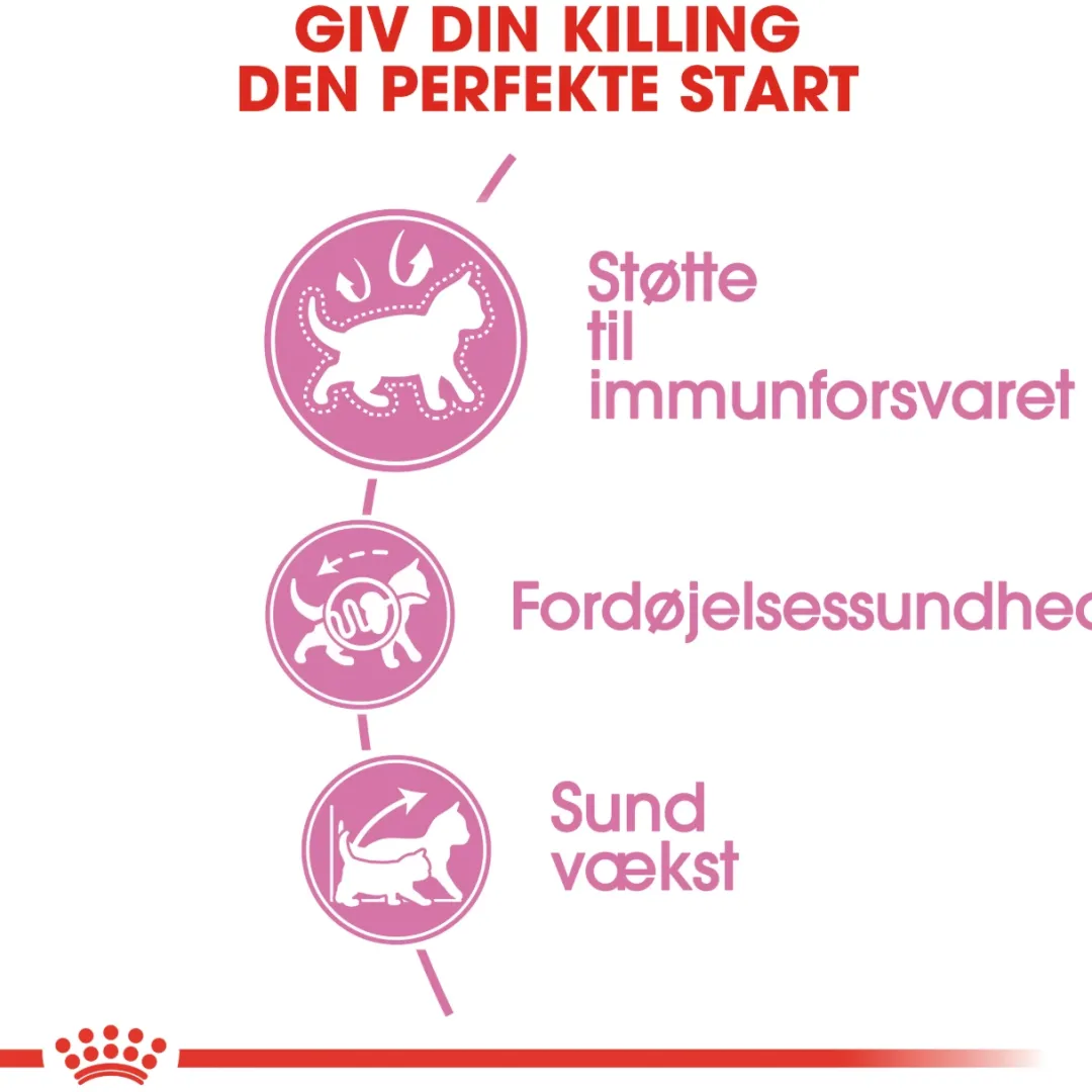 Royal Canin Kattefoder Royal Canin Second Age Kitten 400 g