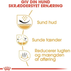 Royal Canin Hundefoder Royal Canin Shih Tzu Adult 1,5 kg - tørfoder til små hunde