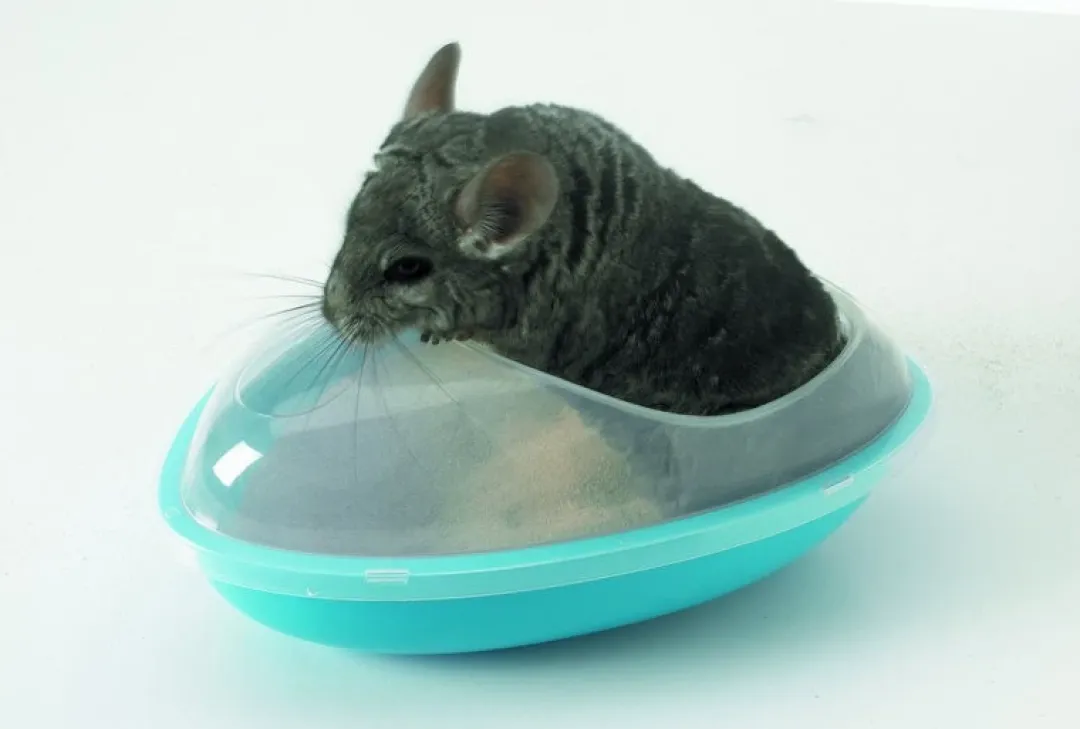 Savic Pets Favourite Savic Chinchillabad - komfortabelt sandbad til naturlig pelspleje