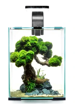 Aquael Shrimpset Day and Night 10 L 20x20x25 cm Sort