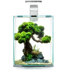Aquael Shrimpset Day and Night 10 L 20x20x25 cm Hvid