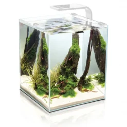 Aquael Shrimpset Day and Night 30 L 29x29x35 cm Hvid