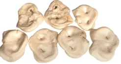 Snackit Kvalitetssnacks til hunde Snackit Hvid Grisetryne 1 stk - Naturlige hundesnacks