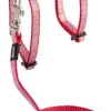 Rogz Sparkle Sele og Linesæt 1,8 m 24-40 cm Rød