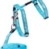 Rogz Sparkle Sele og Linesæt 1,8 m 24-40 cm Turkis