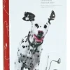 MiniZoo Springer komplet Cykelbeslag