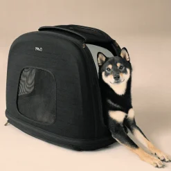Tavo Pets Tavo Crispin Medium Onyx Sort - Crash-testet transportbur til kæledyr
