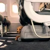 Tavo Pets TAVO Dupree II Merle - Airline Carry-On og Autostol til Hunde og Katte