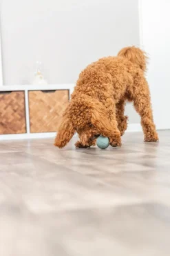 Trixie snack bold ø 6 cm - aktiveringslegetøj til hunde