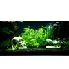 Tropica Akvarieplanter Tropica Helanthium Quadricostatus 1-2-GROW