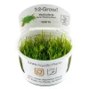 Tropica Akvarieplanter Tropica Vesicularia ferriei Weeping 1-2-GROW