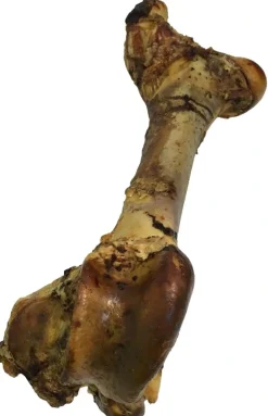Treattime Tørrede okseben Gigant XL 40-50 cm - ekstra stort naturtyg