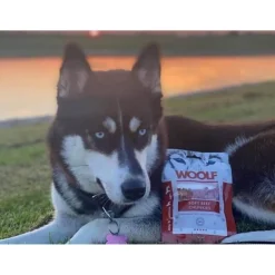 Woolf HundeSnacks og Kattesnack Woolf Hunde- og Kattesnack Bløde Oksekødsbidder