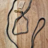Zinj Hundehalsbånd Zinj Guld hundeline Micro