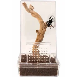 ZooMed Zoo Med Spring Edderkop Kit 7,6 x 7,6 x 15,25 cm